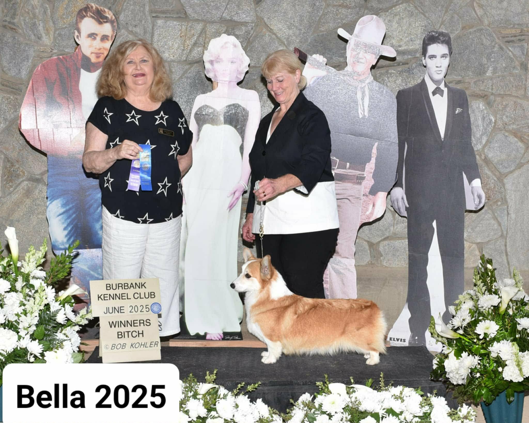 Bella — photo 3