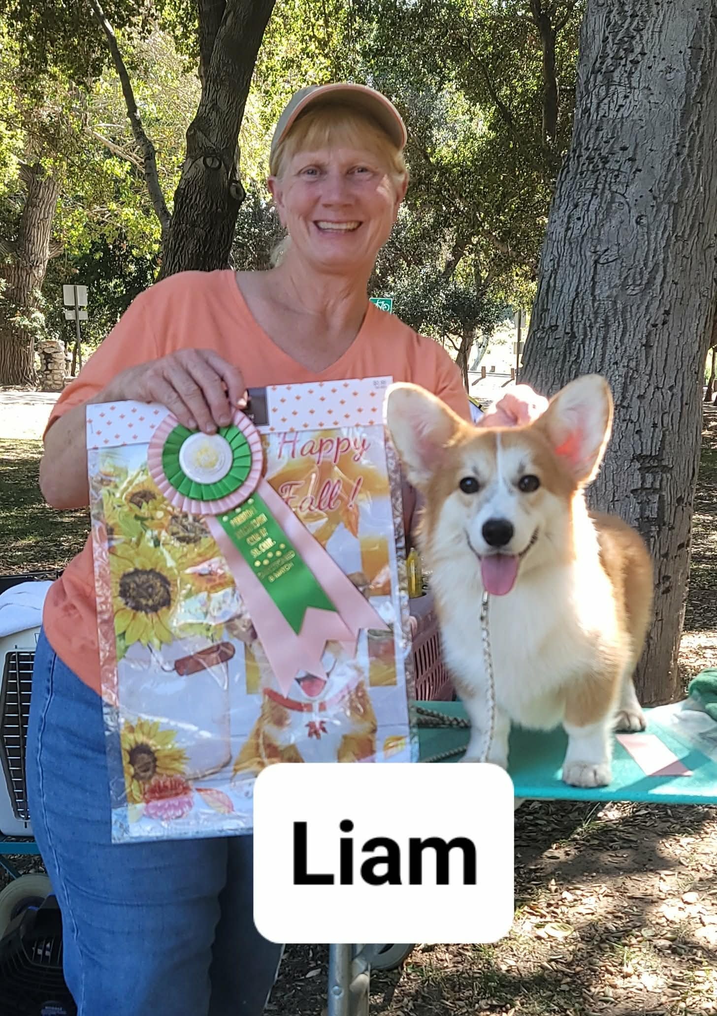 Liam — photo 2