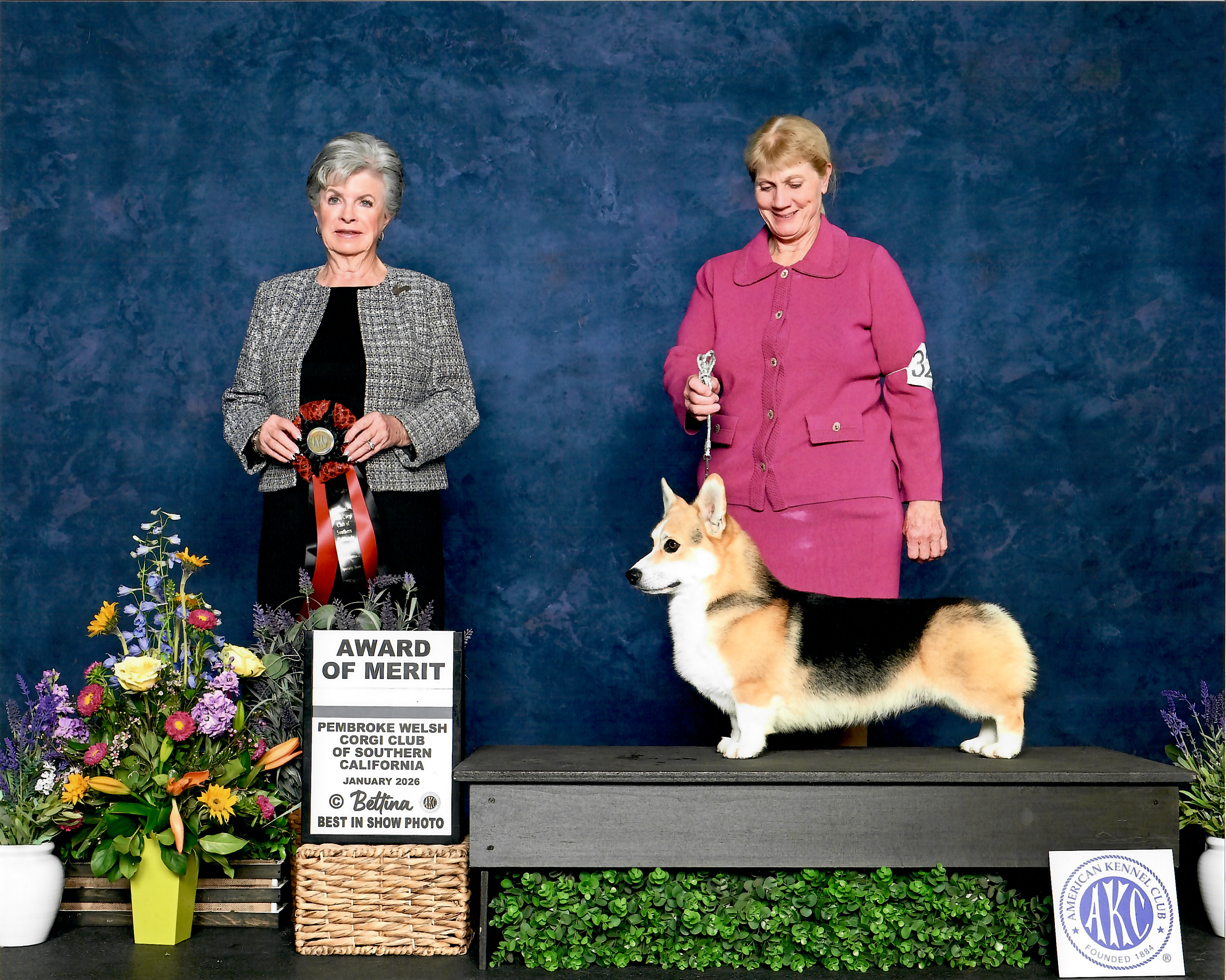 GCH CH Peter — photo 2