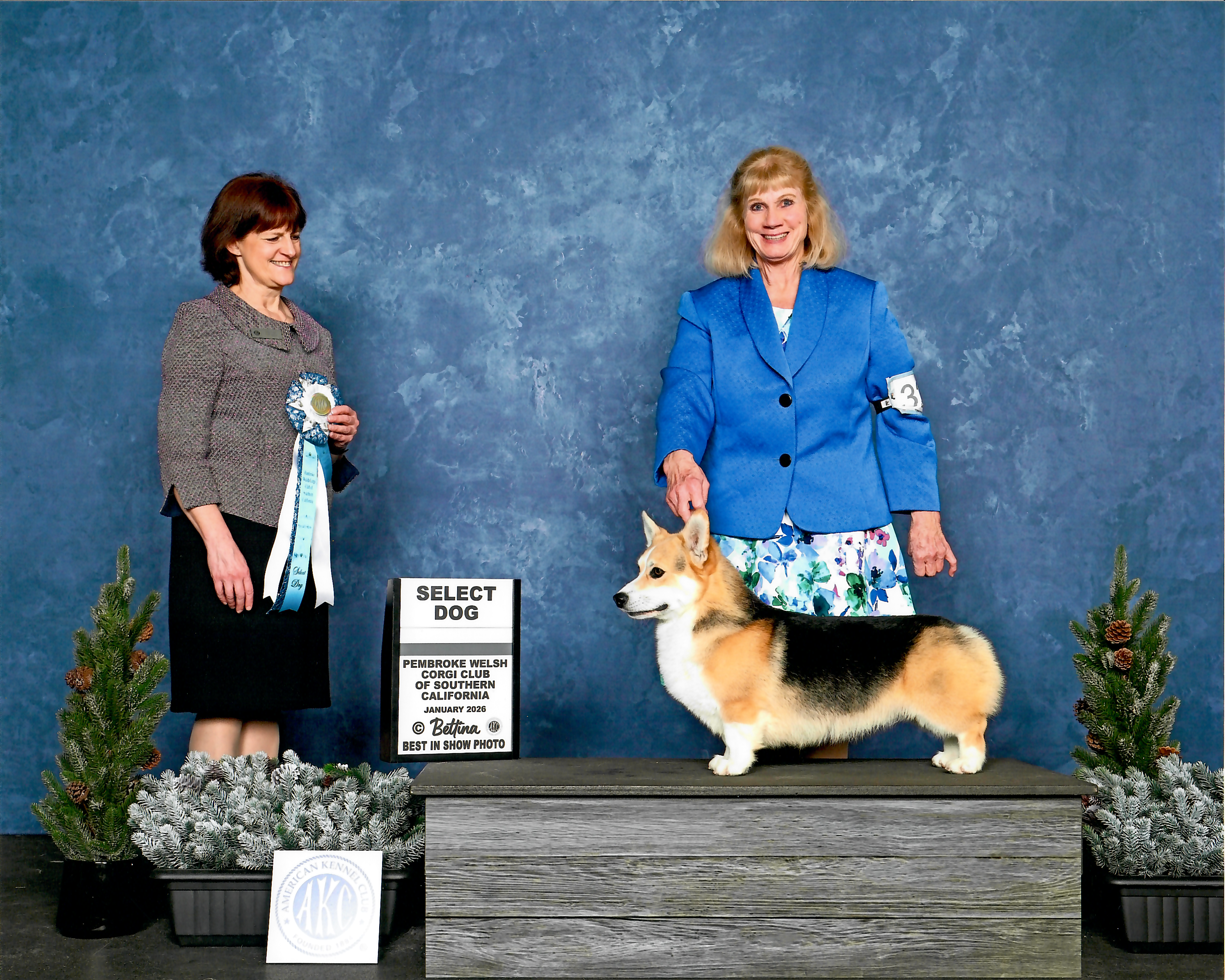 GCH CH Peter — photo 3