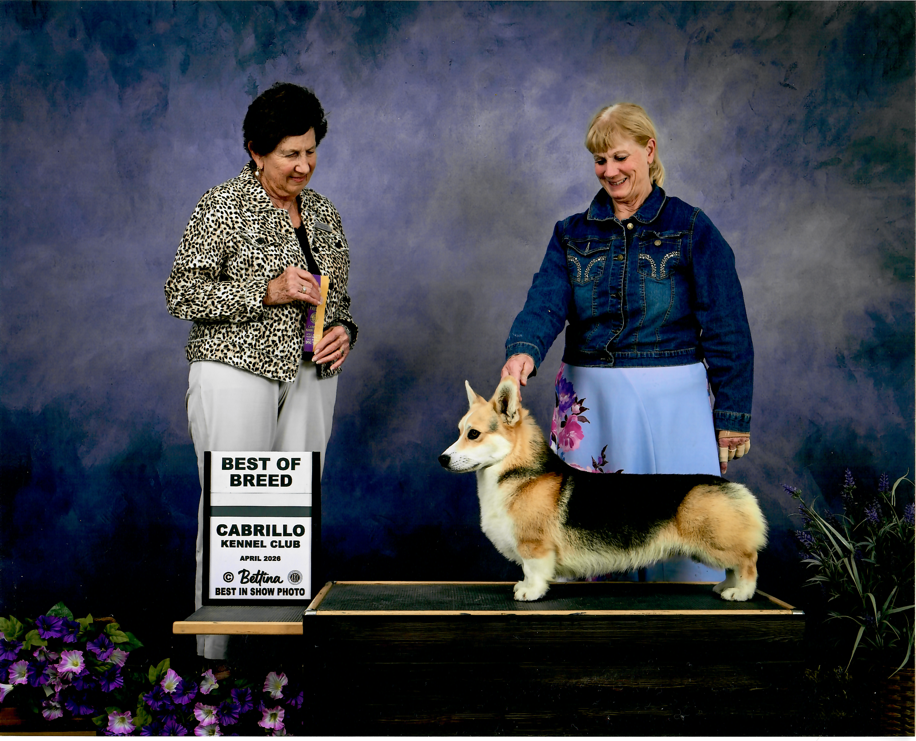 GCH CH Peter — photo 6