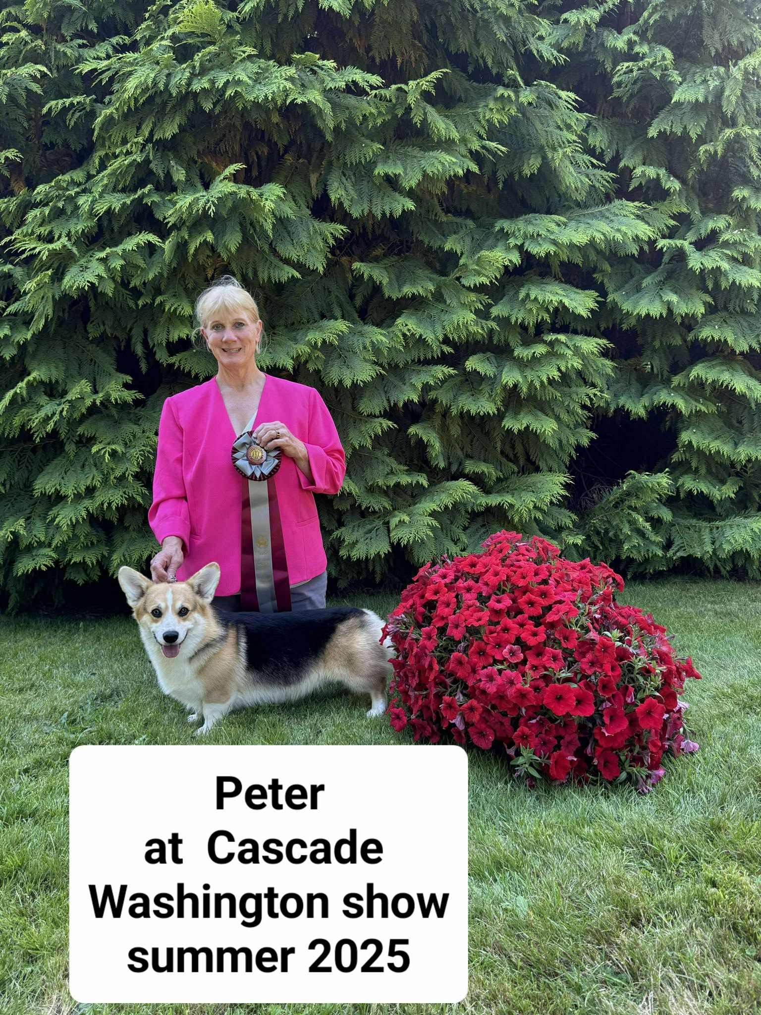 GCH CH Peter — photo 7
