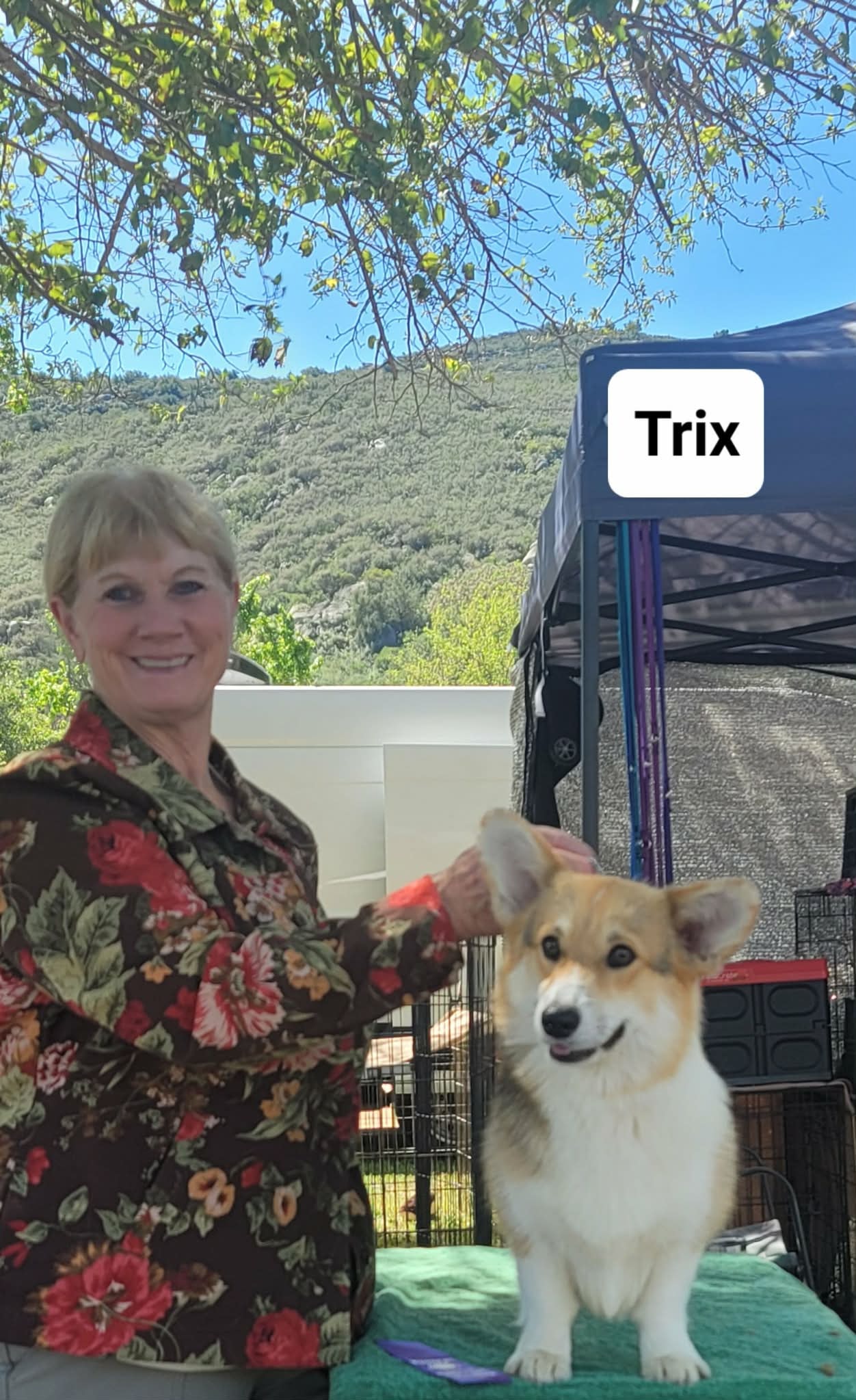 Trix — photo 2