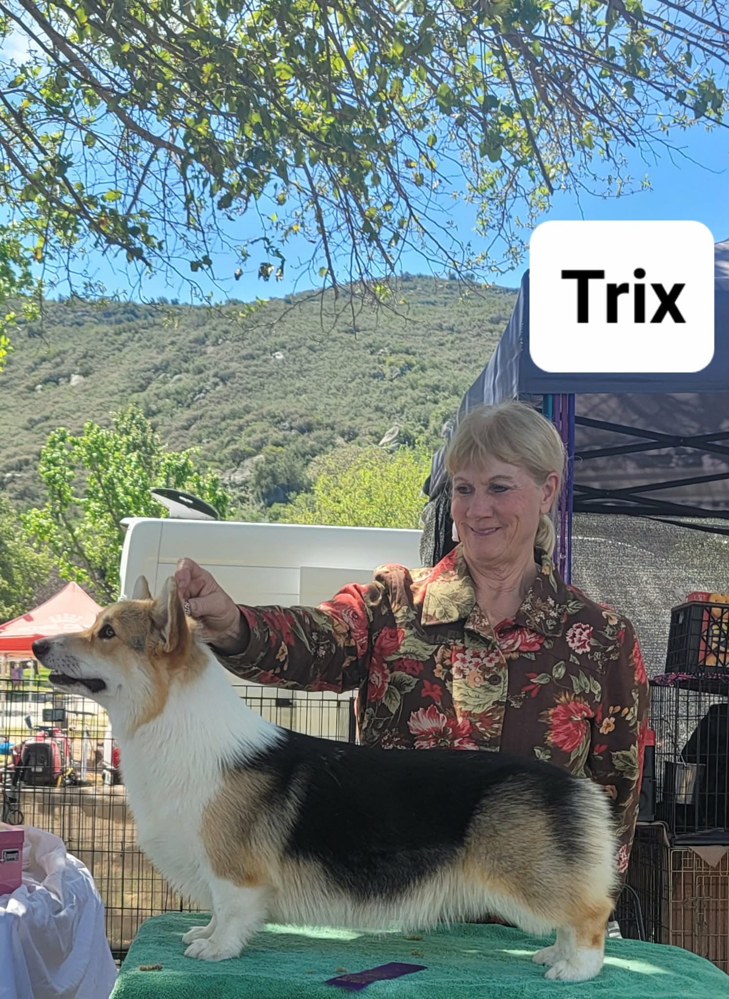 Trix — photo 3